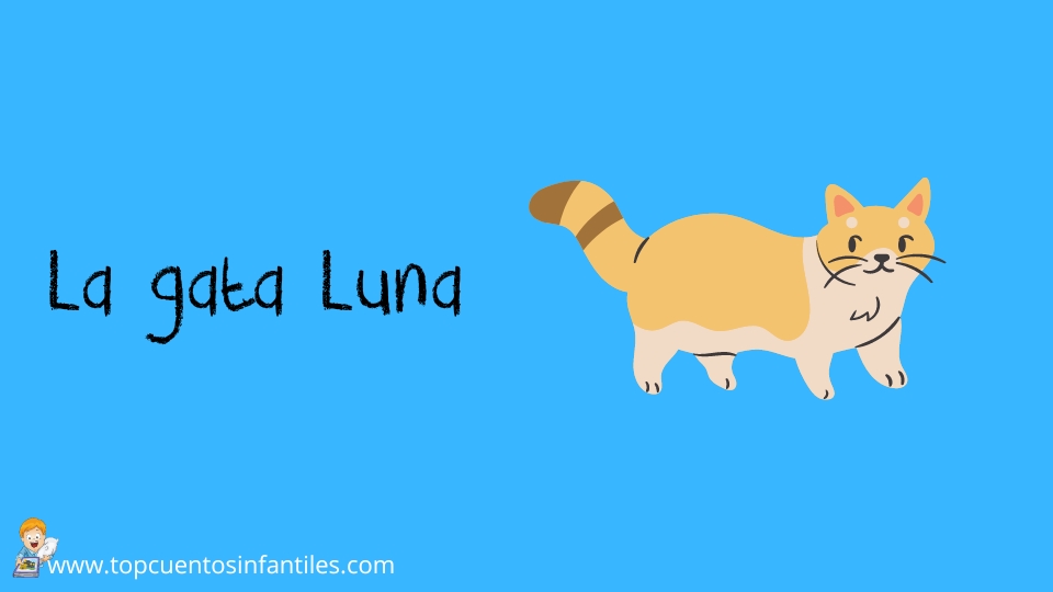 La gata Luna