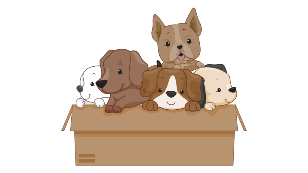 Cuentos de perros