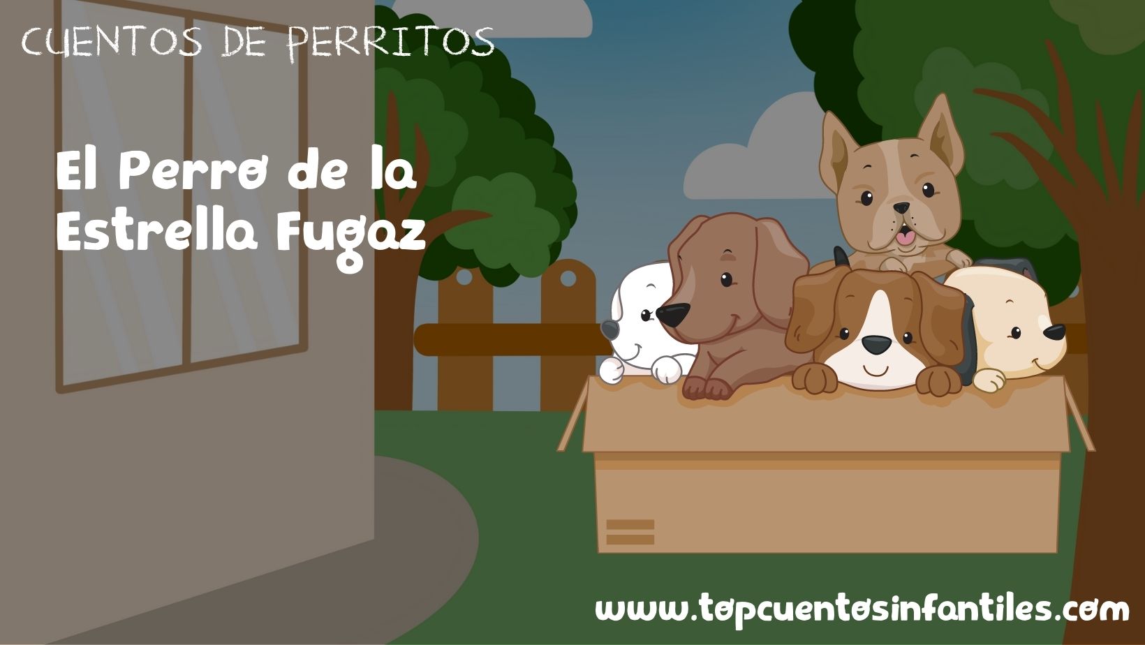 El Perro de la Estrella Fugaz